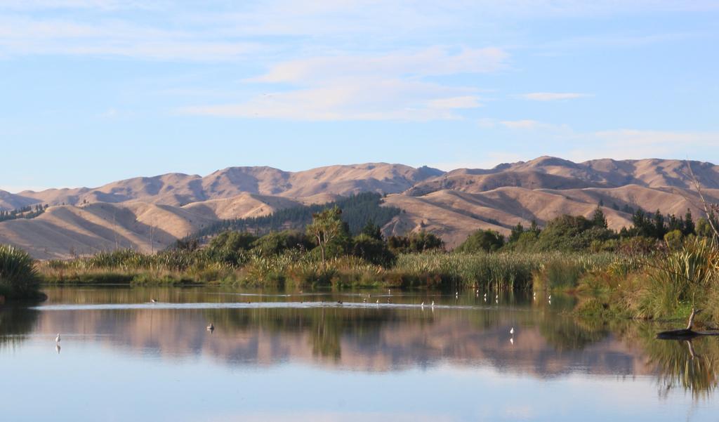 Misty River Retreat เบลนิม ภายนอก รูปภาพ